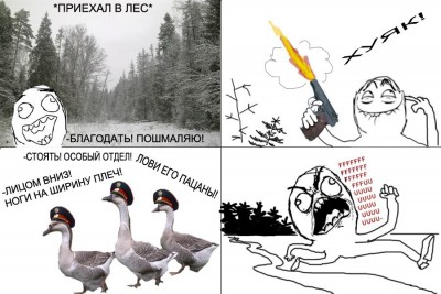 2Infi1SVrrA.jpg