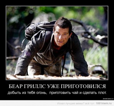 709364.jpg