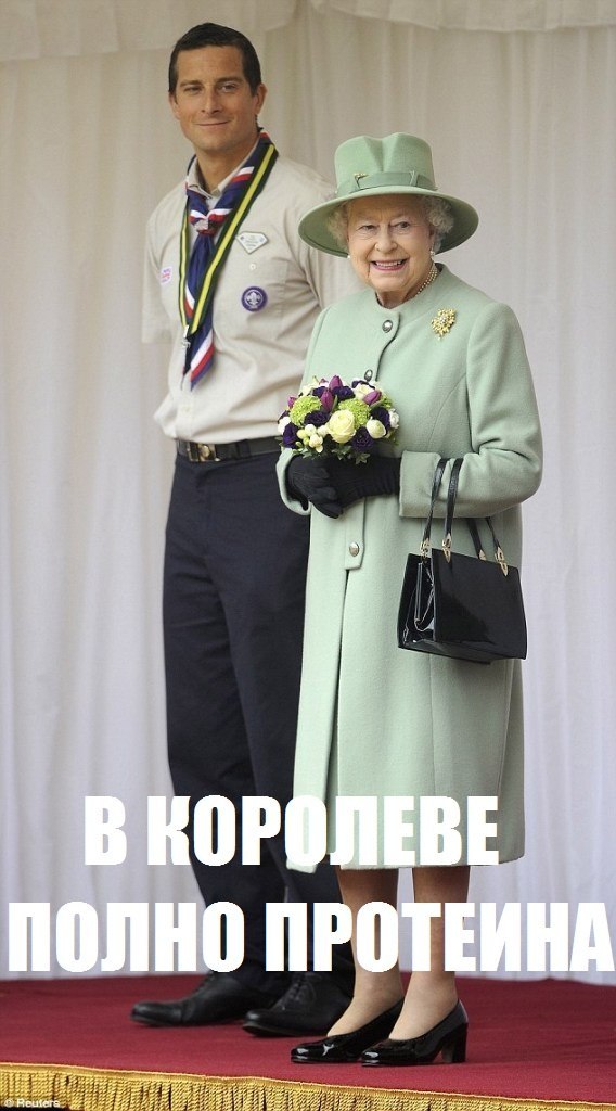 BaS1_wntfMk.jpg