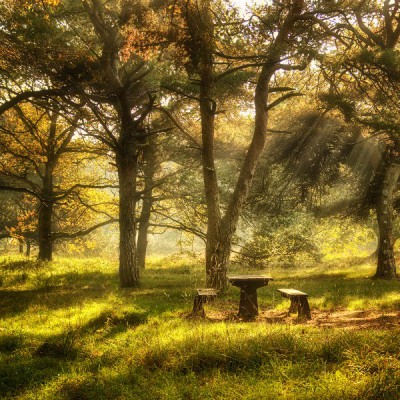 JiAEtJ10f78.jpg (176.94 КБ, Просмотров: 4317) JiAEtJ10f78.jpg