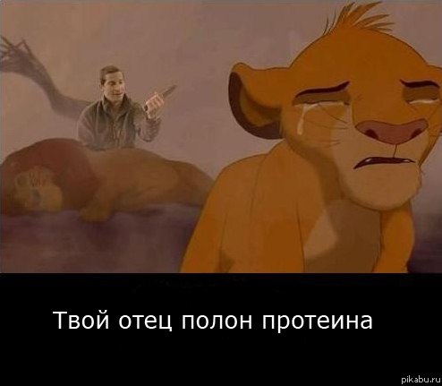 WZW-Mqe_T7Y.jpg