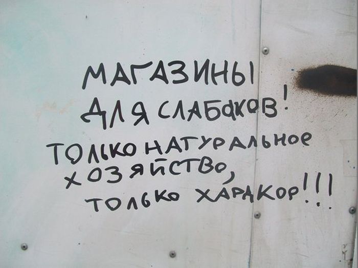 podborka_123664.jpg