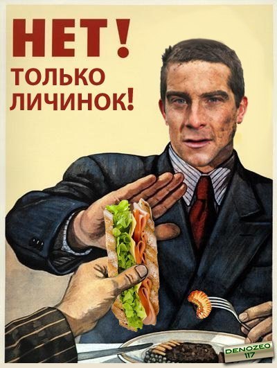 x_751435fb.jpg