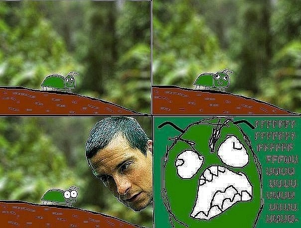 x_c3eda55a.jpg