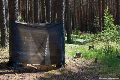 3R5W3129-1.jpg (213.65 КБ, Просмотров: 3658) 3R5W3129-1.jpg