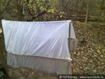 9d8393.jpg (43.83 КБ, Просмотров: 5187) 9d8393.jpg