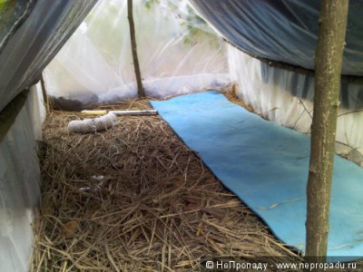 1d34c8.jpg (41.77 КБ, Просмотров: 5177) 1d34c8.jpg