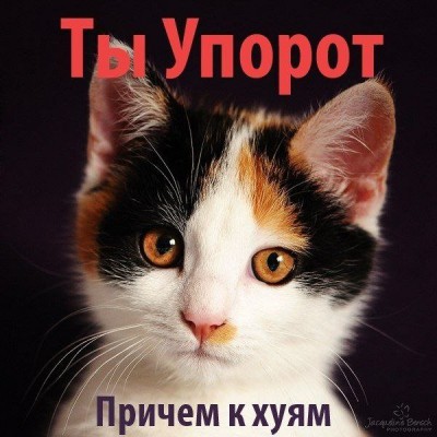 13435083505416.jpg (75.02 КБ, Просмотров: 2142) 13435083505416.jpg