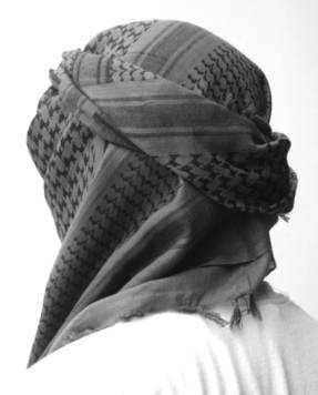 shem012.jpg (9.6 КБ, Просмотров: 5031) shem012.jpg