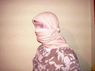 eq_shm06.jpg (10.2 КБ, Просмотров: 5037) eq_shm06.jpg