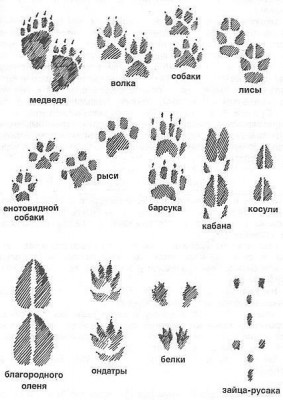 xPnrz54Izgk.jpg (60.5 КБ, Просмотров: 2010) xPnrz54Izgk.jpg