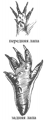 f83288fb41a06a59572a5e3b32f012ee.jpg (85.39 КБ, Просмотров: 2008) f83288fb41a06a59572a5e3b32f012ee.jpg