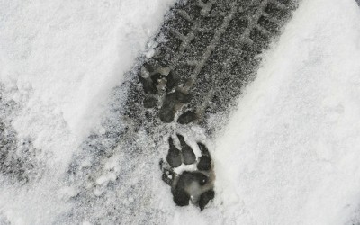 maskull_lasserre-04.jpg (264.42 КБ, Просмотров: 2006) maskull_lasserre-04.jpg