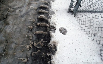 maskull_lasserre-06.jpg (322.7 КБ, Просмотров: 2005) maskull_lasserre-06.jpg