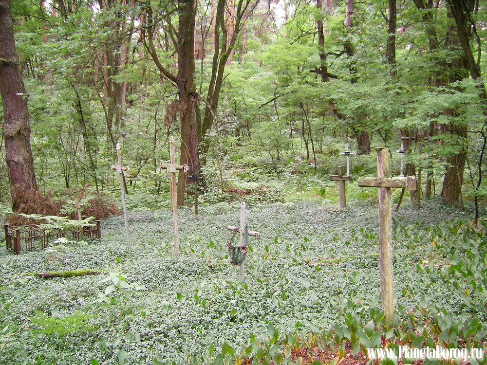 006.jpg (449.93 КБ, Просмотров: 16018) 006.jpg