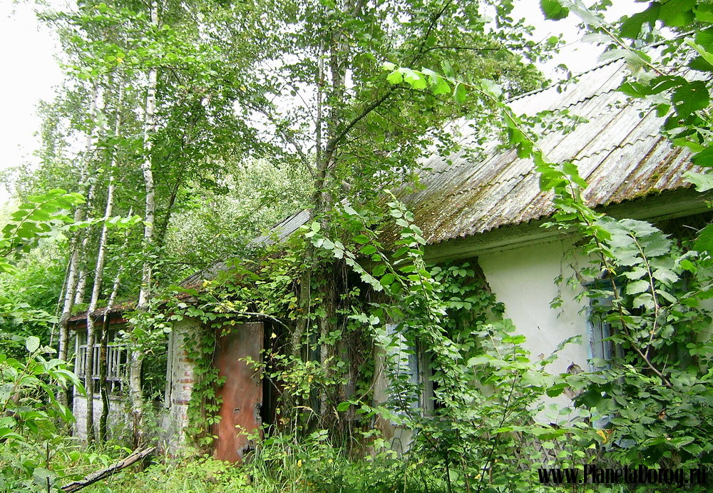 012.jpg (438.4 КБ, Просмотров: 16018) 012.jpg