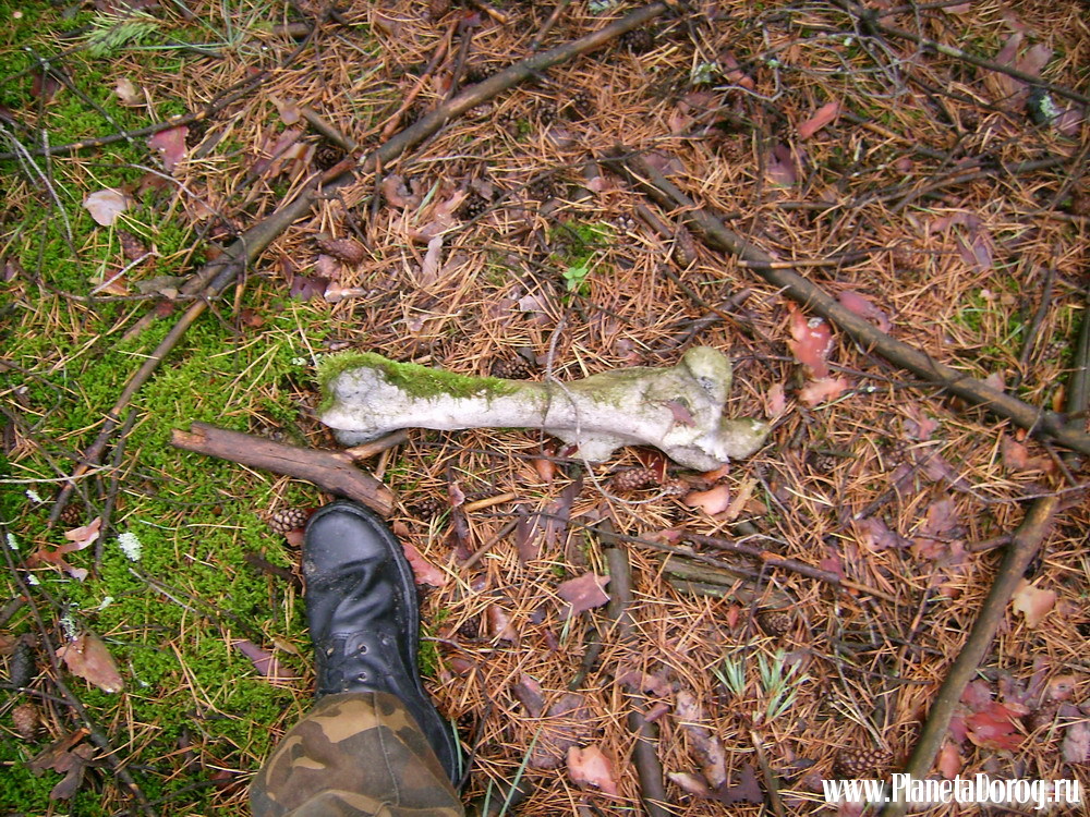 018.jpg (416.41 КБ, Просмотров: 16018) 018.jpg