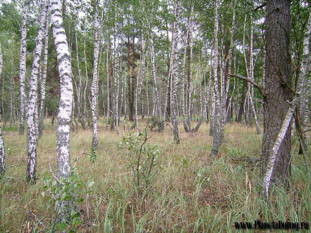 019.jpg (451.03 КБ, Просмотров: 16018) 019.jpg