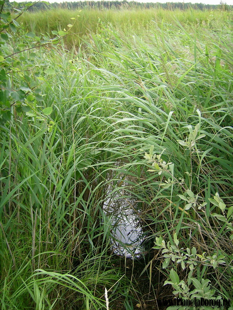 022.jpg (415.1 КБ, Просмотров: 16018) 022.jpg