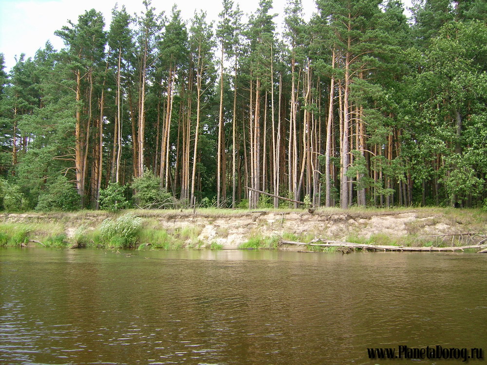 023.jpg (376.59 КБ, Просмотров: 16018) 023.jpg