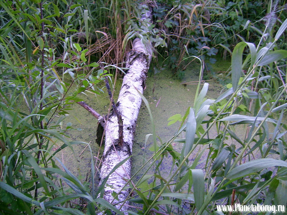 029.jpg (343.87 КБ, Просмотров: 16018) 029.jpg