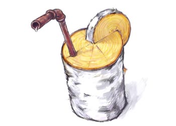 bereza.jpg (28.61 КБ, Просмотров: 1603) bereza.jpg