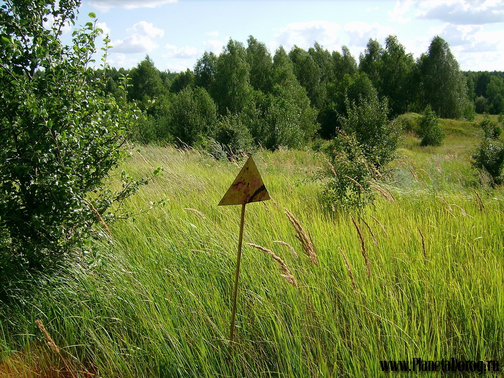 040.jpg (446.92 КБ, Просмотров: 16018) 040.jpg