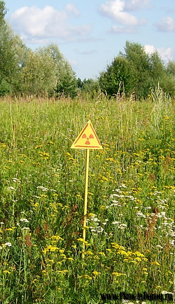 043.jpg (284.76 КБ, Просмотров: 16018) 043.jpg