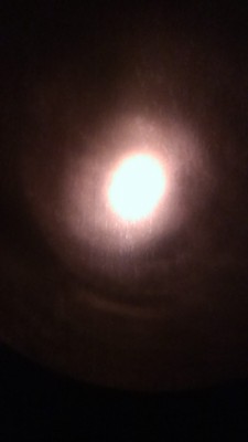 IMAG1691.jpg (32.54 КБ, Просмотров: 1500) IMAG1691.jpg