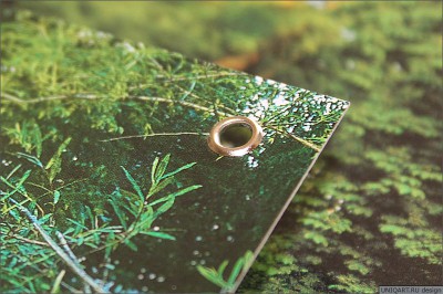 06_quartа.jpg (124.77 КБ, Просмотров: 1792) 06_quartа.jpg