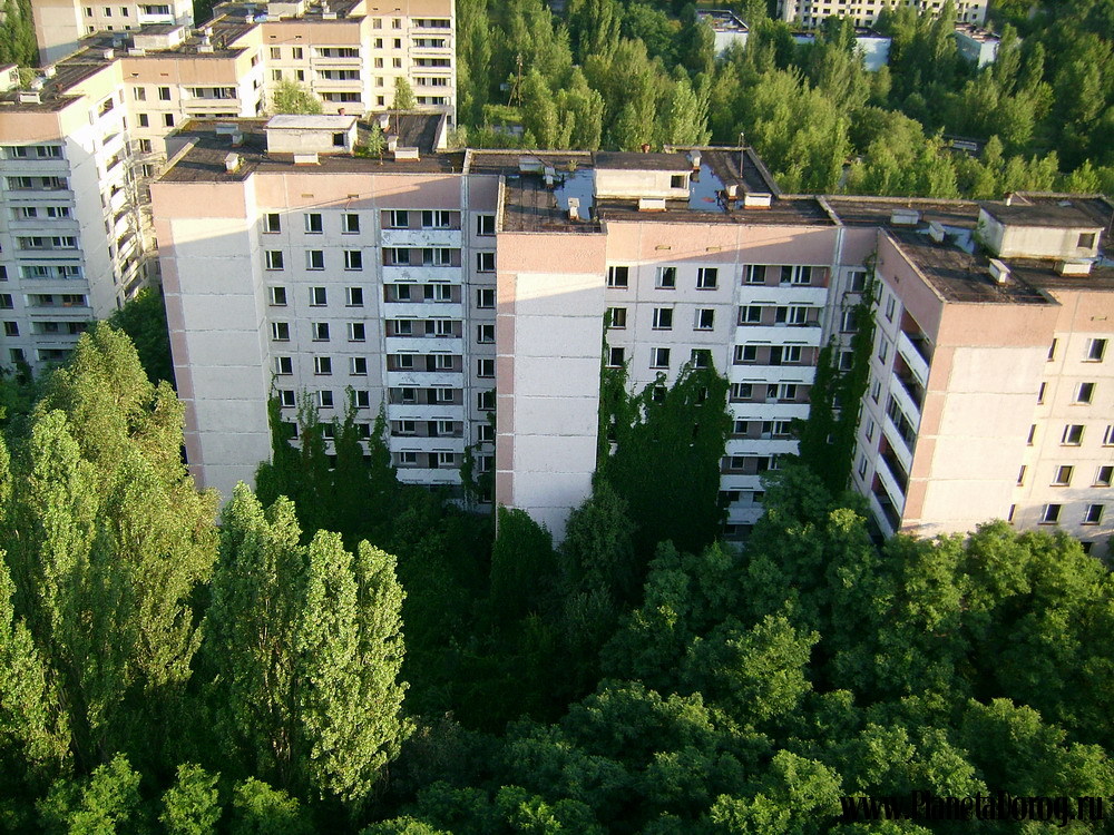 058.jpg (353.2 КБ, Просмотров: 15978) 058.jpg