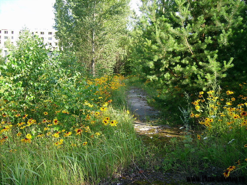 073.jpg (479.96 КБ, Просмотров: 16860) 073.jpg