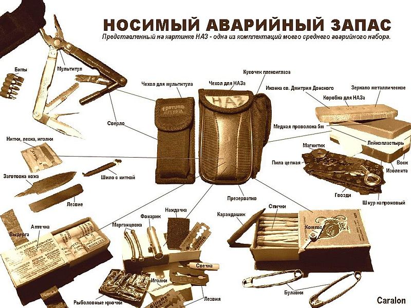 800px-НАЗ_(вариант).jpg (118.25 КБ, Просмотров: 8697) 800px-НАЗ_(вариант).jpg