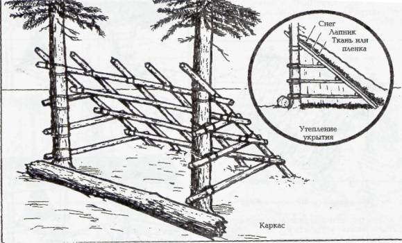 1229536568_image008.jpg (59.17 КБ, Просмотров: 5363) 1229536568_image008.jpg