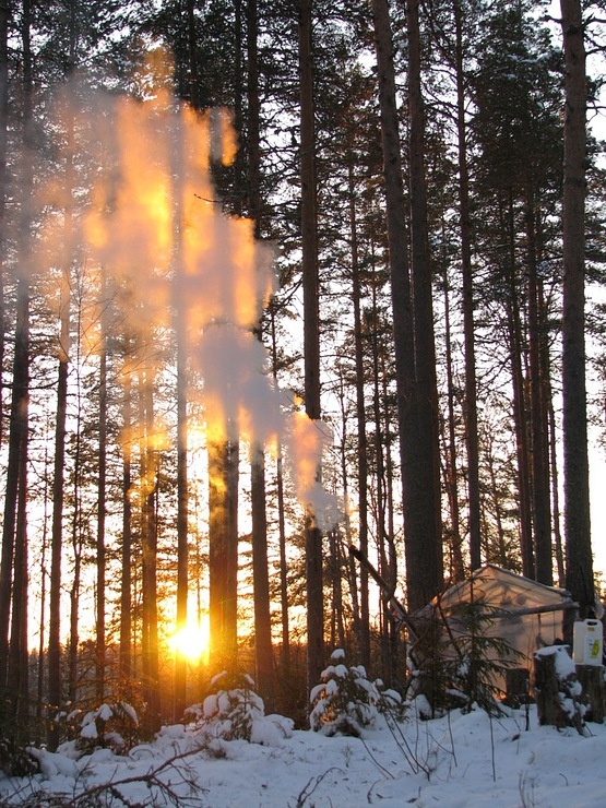 ee433fd216fd92abb17acd5b09bd0f6c.jpg (451.82 КБ, Просмотров: 5352) ee433fd216fd92abb17acd5b09bd0f6c.jpg