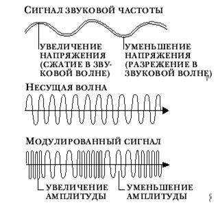 beginner55-14.jpg (22.33 КБ, Просмотров: 10907) beginner55-14.jpg