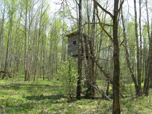 25027683.jpg (71.42 КБ, Просмотров: 5081) 25027683.jpg