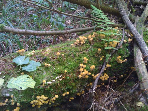 46291249.jpg (61.41 КБ, Просмотров: 5080) 46291249.jpg