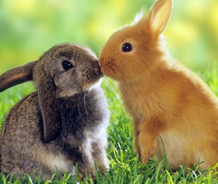 30935.jpg (24.94 КБ, Просмотров: 1235) 30935.jpg